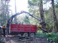  almost a full load
